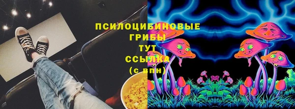 ECSTASY Новозыбков