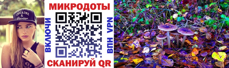 закладка  Тетюши  Псилоцибиновые грибы Magic Shrooms 